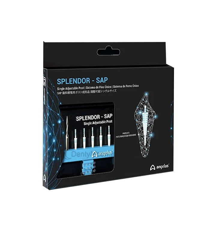 پین گلاس فایبر آنجلوس Splendor SAP