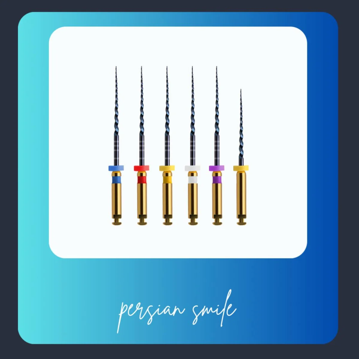 فایل روتاری دنکو بلو  Denco Blue Files — تصویر ۳