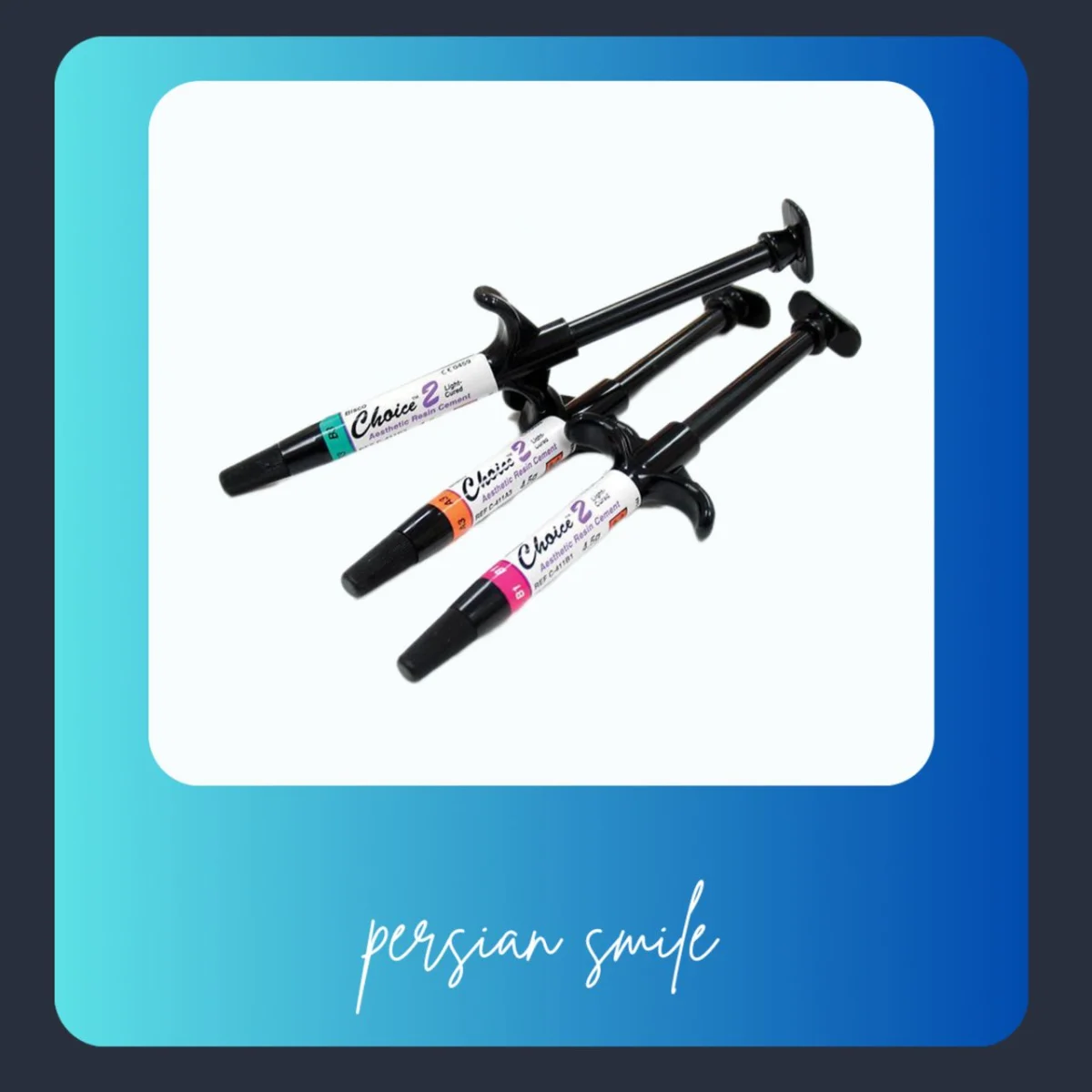 چویس تو بیسکو Choice 2 Bisco — تصویر ۳