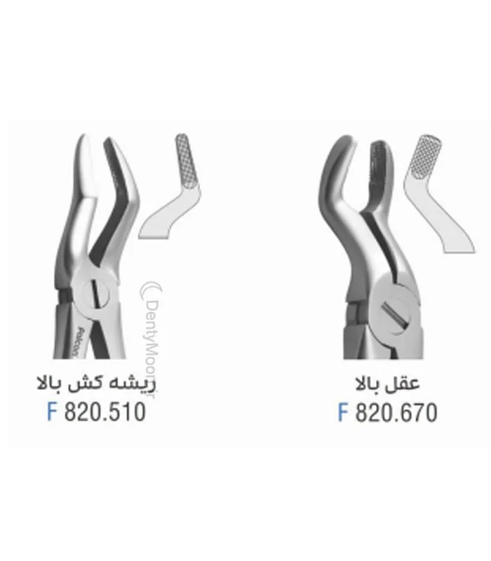 فورسپس بزرگسال آناتومیک فالکن Falcon — تصویر ۴