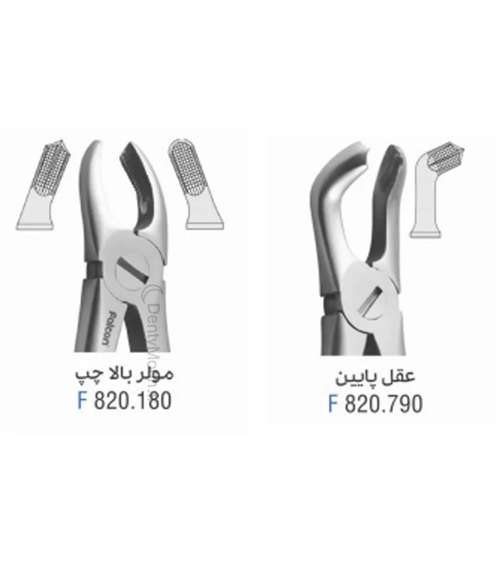فورسپس بزرگسال آناتومیک فالکن Falcon — تصویر ۵