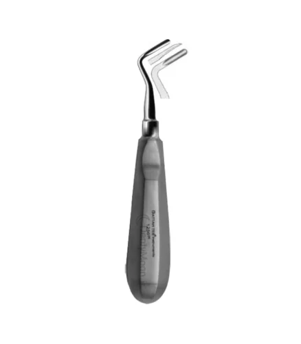 الواتور اپیکال فتاح طب پویا