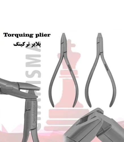 پلایر ترکینگ کاریزما (2عددی) Charisma
