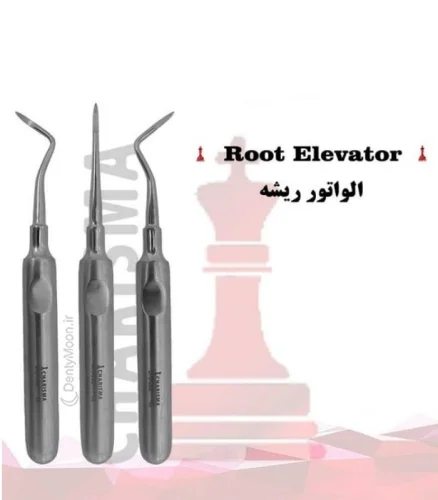 الواتور ریشه کاریزما (مستقیم/چپ و راست) Charisma