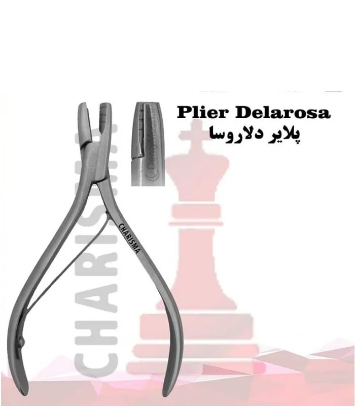 پلایر دلاروسا کاریزما Charisma