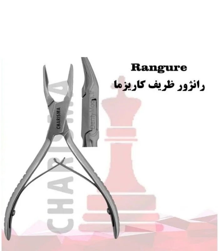 رانژور خیلی ظریف کاریزما Charisma