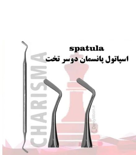 اسپاتول پانسمان دوسرتخت کاریزما Charisma