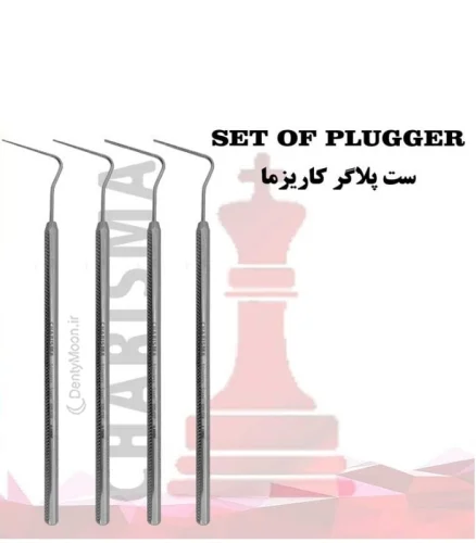 ست 4 عددی پلاگر کاریزما Charisma