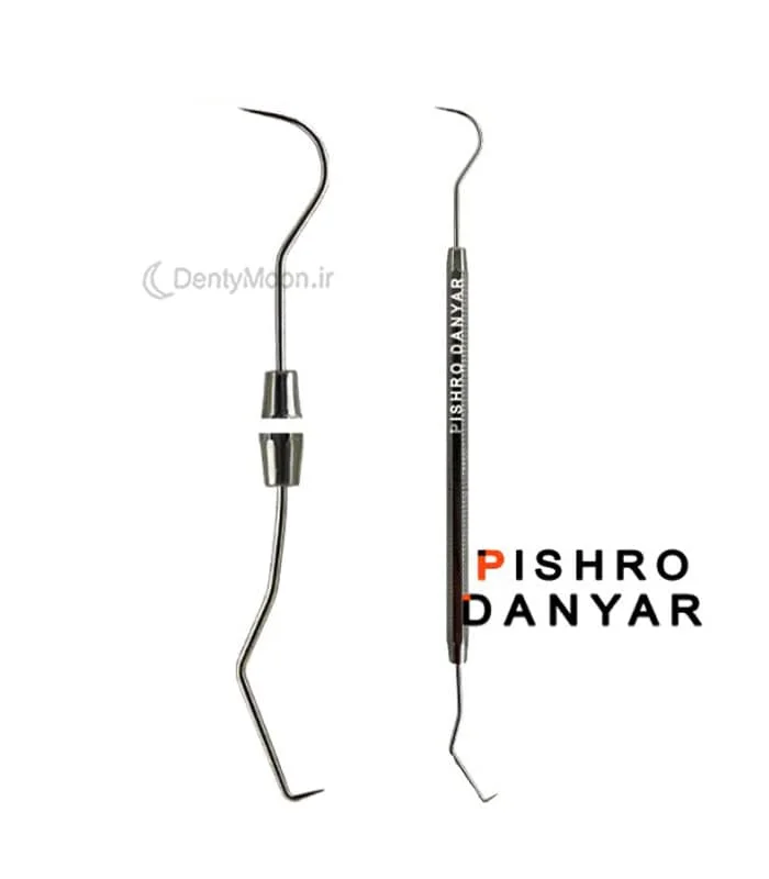 سوند دوسر پیشرو Pishro