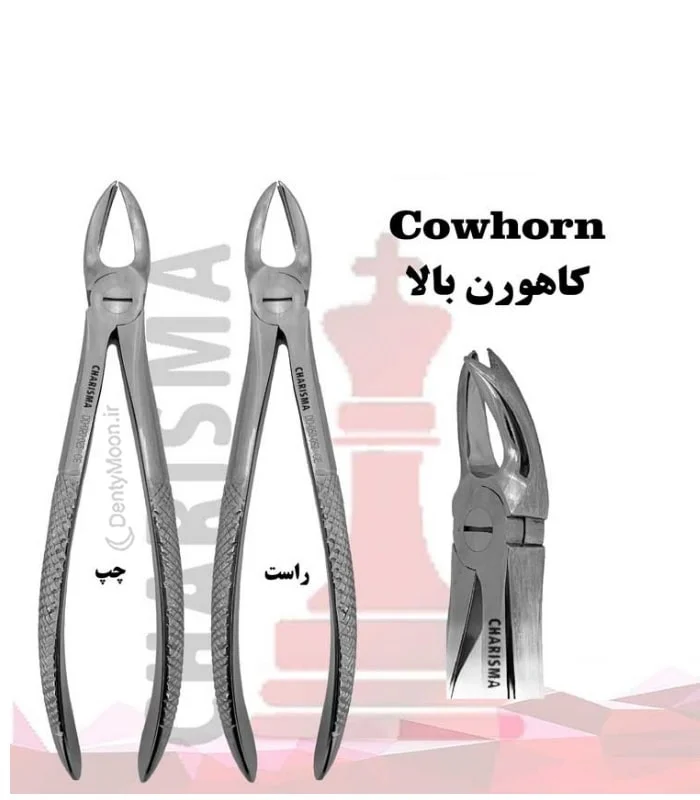 کاهورن بالا کاریزما (چپ و راست) Charisma