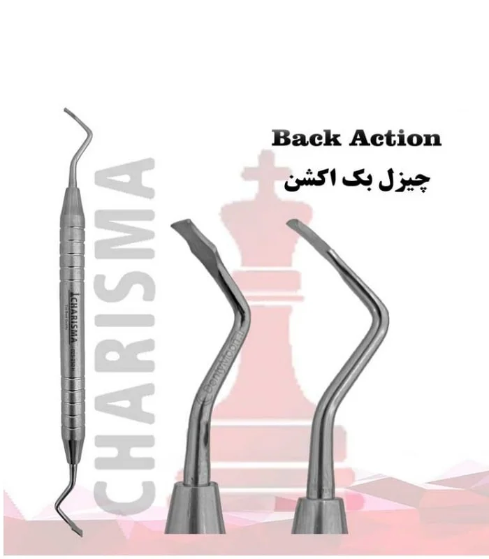چیزل بک اکشن هالو کاریزما Charisma
