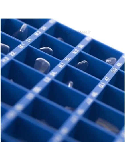 کیت روکش سلولوئیدی دایرکتا Directa Transparent Crowns