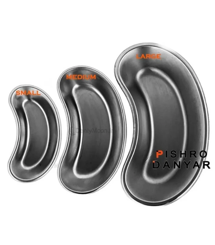 رسیور (کیدنی) پیشرو Pishro