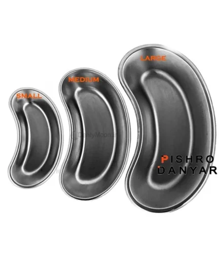 رسیور (کیدنی) پیشرو Pishro