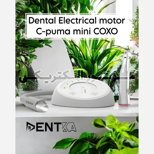 موتور الکتریکی کوکسو C-PUMA MINI