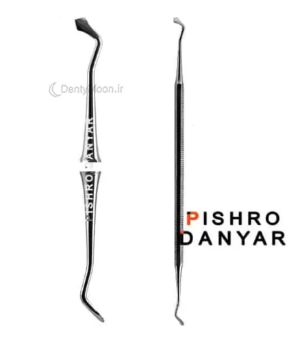 کارور لوزی پیشرو Pishro