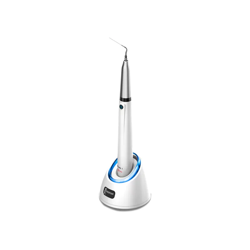 ایریگیشن اولتراسونیک Endo1 - وودپیکر