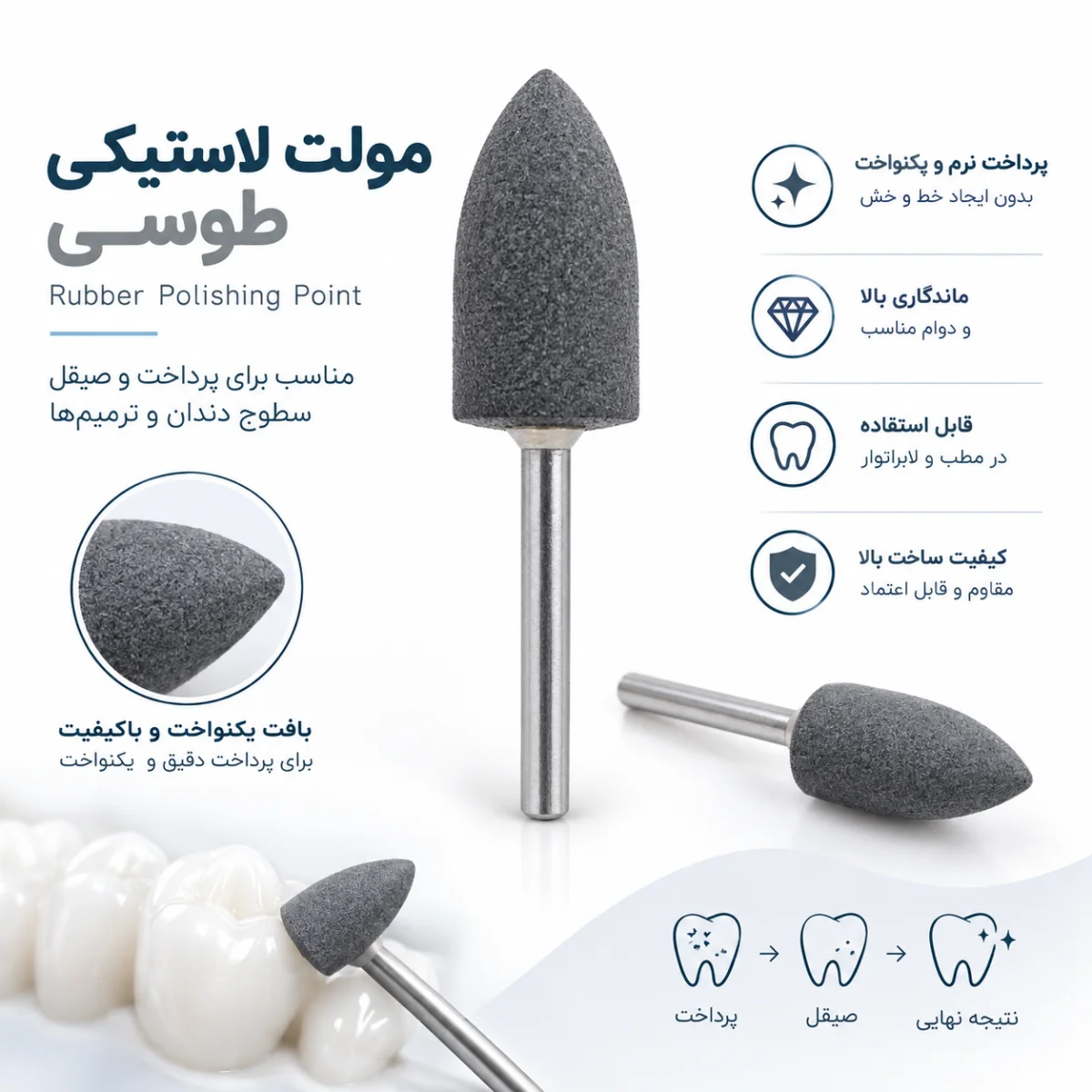 مولت طوسی