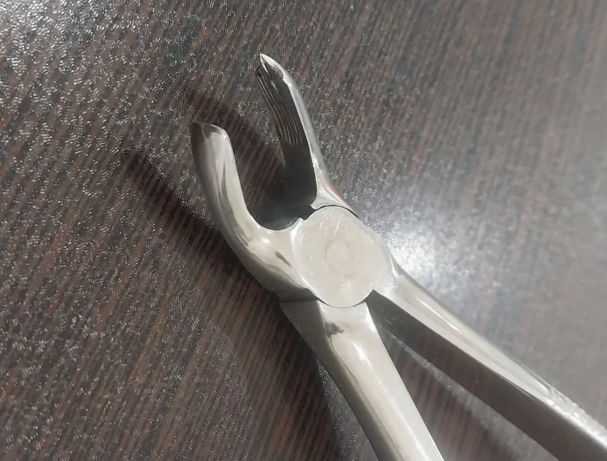 فورسپس اسکولاپ — تصویر ۴