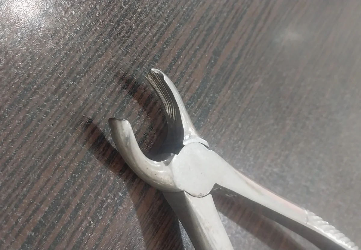 فورسپس اسکولاپ — تصویر ۲
