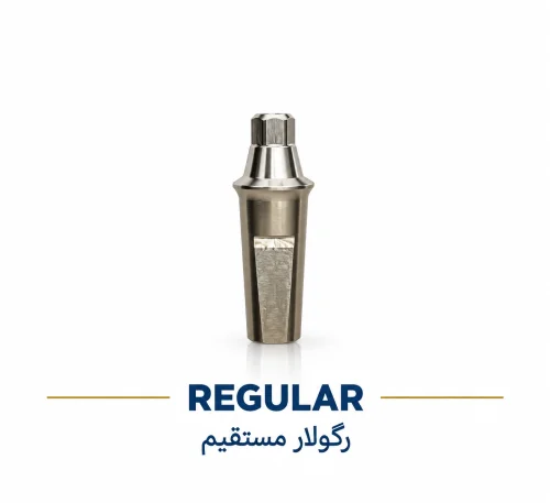 اباتمنت مستقیم مینی