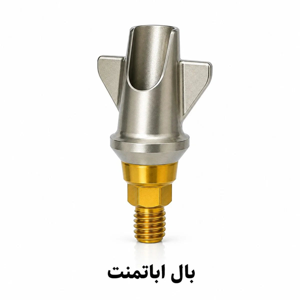 بال اباتمنت S&R — تصویر ۲