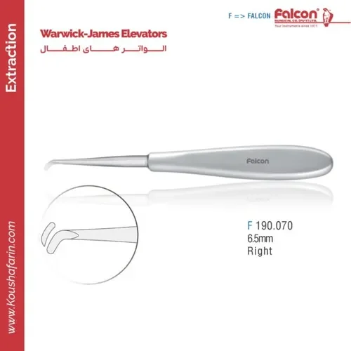 الواتور Warwick-James ۶.۵ میلی‌متر راست // فالکن