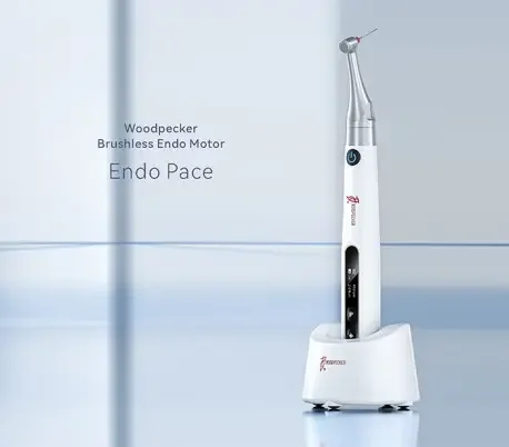 موتور روتاری اندو وودپکر Woodpecker - Endo Pace — تصویر ۶