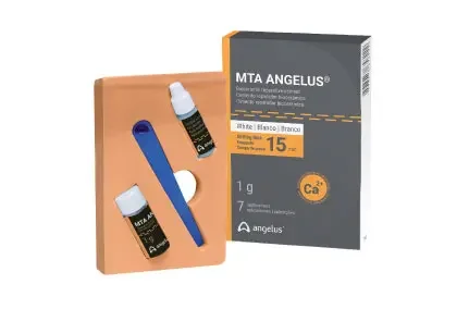 ام تی ای آنجلوس - MTA Angelus