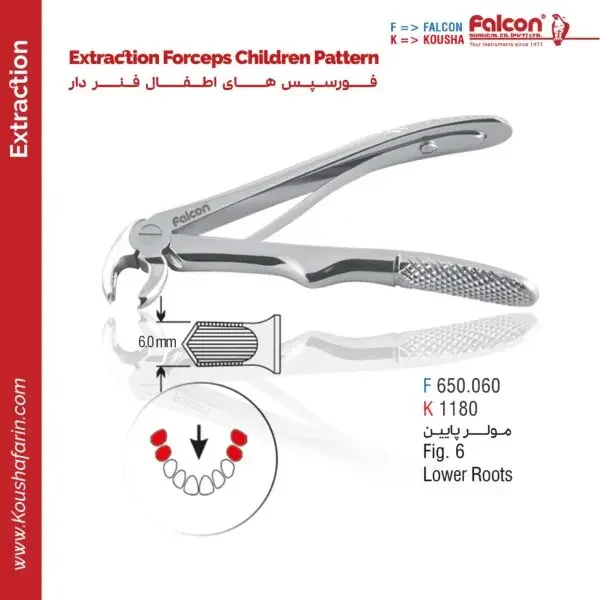 فورسپس مولر پایین اطفال (فنردار) - Falcon (fig:6)
