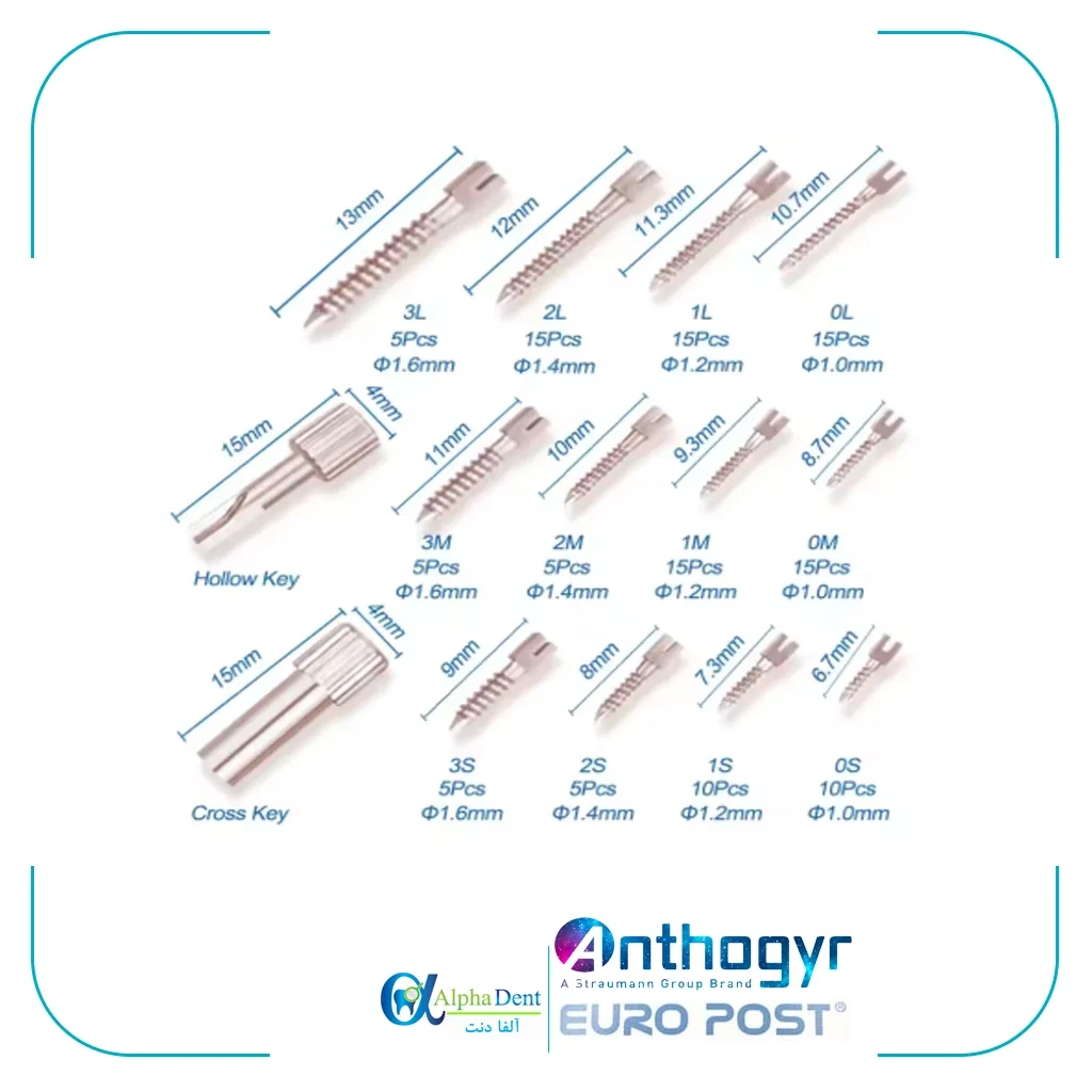 پین استیل آنتوژیر (Anthogyr EURO POST) — تصویر ۲