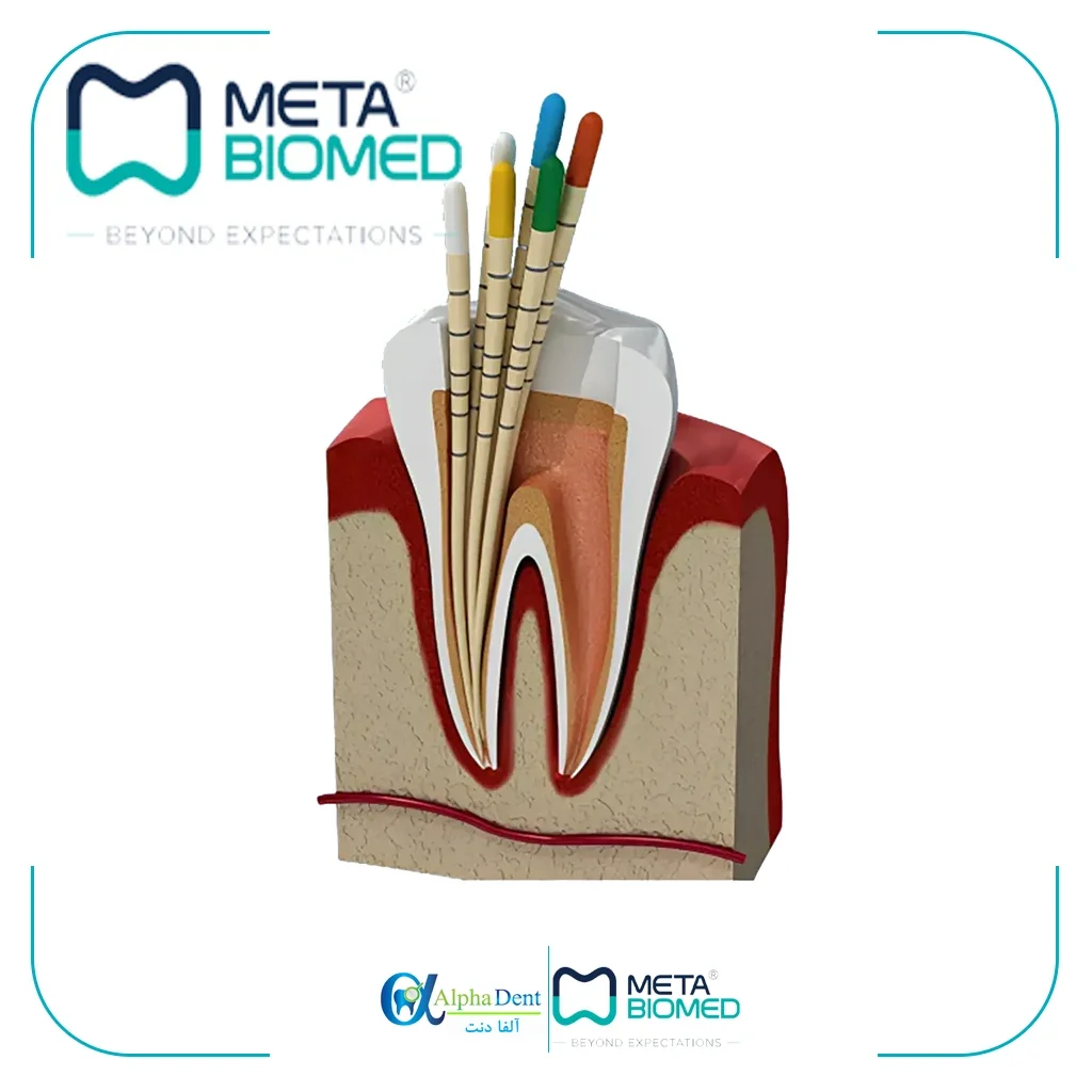 گوتا MF متا META — تصویر ۲